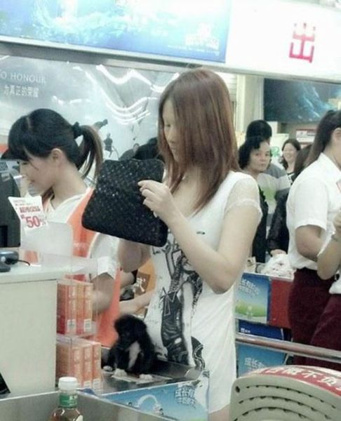 A Perfect Dress for Shopping. Part 2