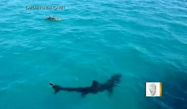 morning picdump 54 pics 23.html - 54 HD Photos | Premium Gallery 2012