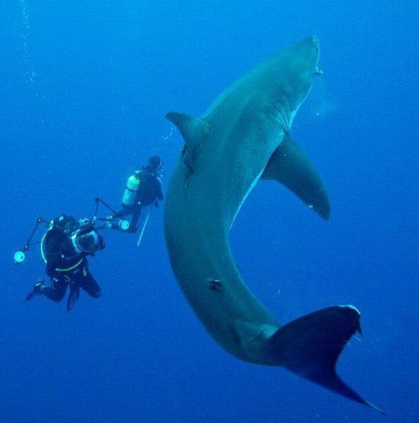 morning picdump 54 pics 23.html - 54 HD Photos | Premium Gallery 2012