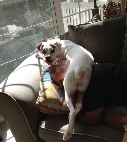 morning picdump 54 pics 23.html - 54 HD Photos | Premium Gallery 2012