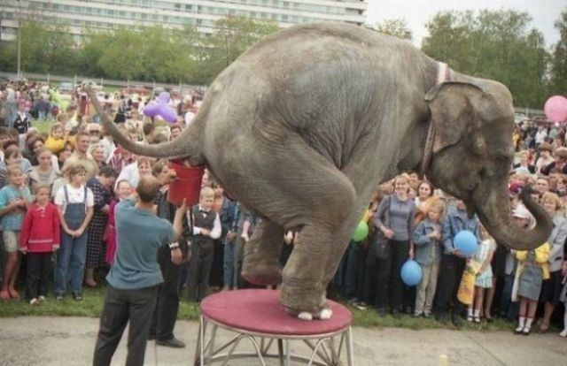 And You Think Your Job Sucks?