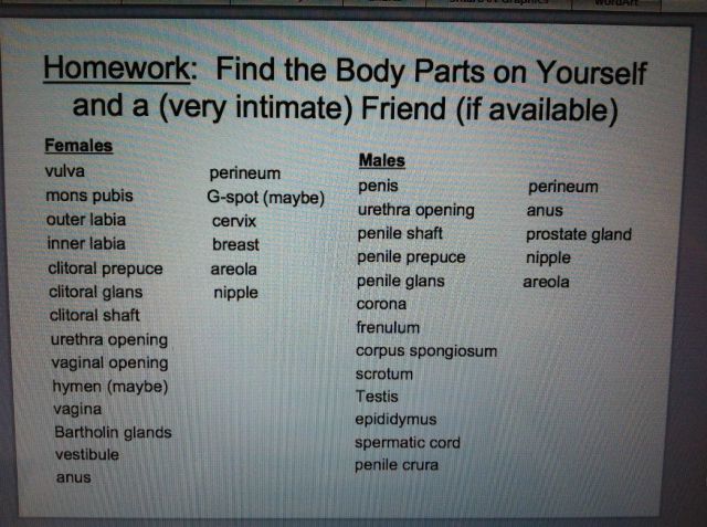 morning picdump 57 pics 7.html - 57 HD Photos | Premium Gallery 2012