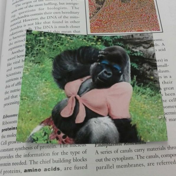 Daily Picdump [WEEKEND EDITION]