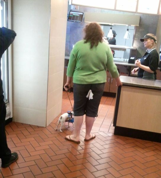 Daily Picdump [WEEKEND EDITION]