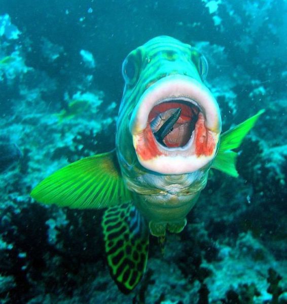 daily picdump weekend edition 103 pics 51.html - 103 HD Photos | Premium Gallery 2012