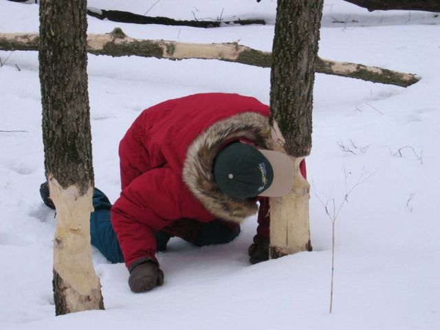 daily picdump weekend edition 103 pics 51.html - 103 HD Photos | Premium Gallery 2012