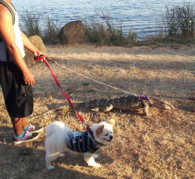 daily picdump weekend edition 103 pics 51.html - 103 HD Photos | Premium Gallery 2012