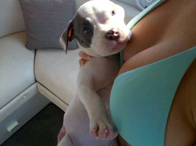 daily picdump weekend edition 103 pics 51.html - 103 HD Photos | Premium Gallery 2012