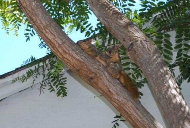 daily picdump weekend edition 103 pics 51.html - 103 HD Photos | Premium Gallery 2012