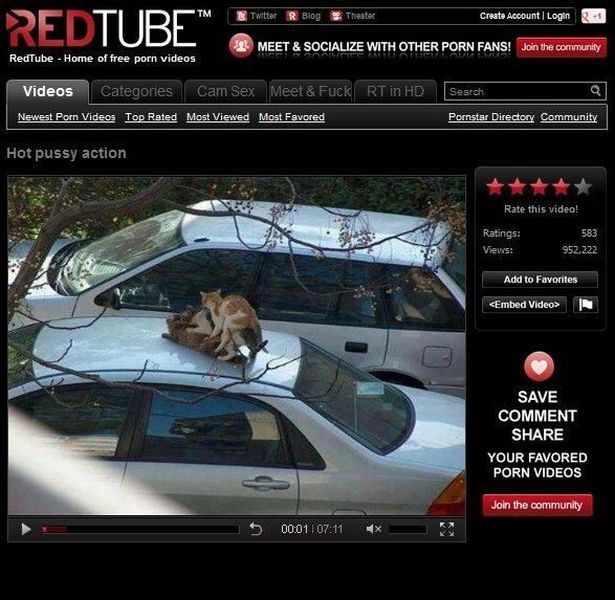 daily picdump 105 pics 35.html - 105 HD Photos | Premium Gallery 2012