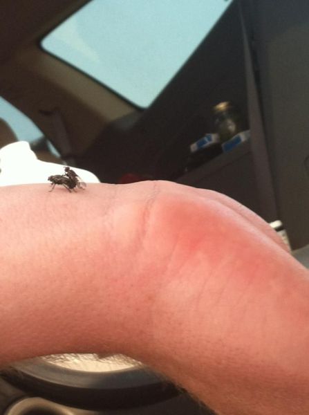 daily picdump 105 pics 35.html - 105 HD Photos | Premium Gallery 2012