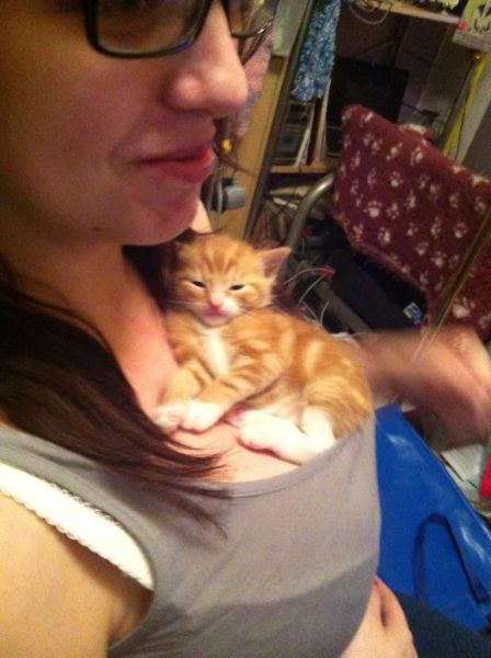 daily picdump 105 pics 35.html - 105 HD Photos | Premium Gallery 2012