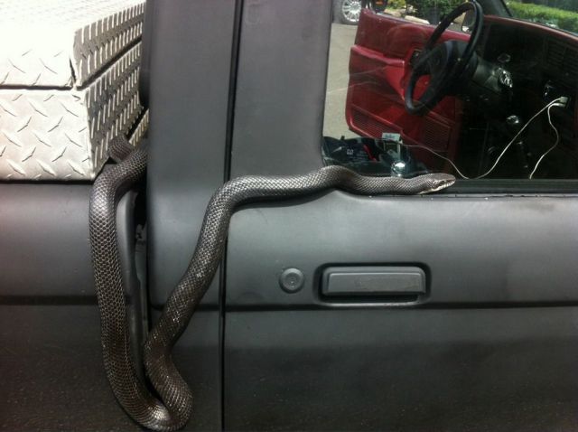 daily picdump 105 pics 35.html - 105 HD Photos | Premium Gallery 2012