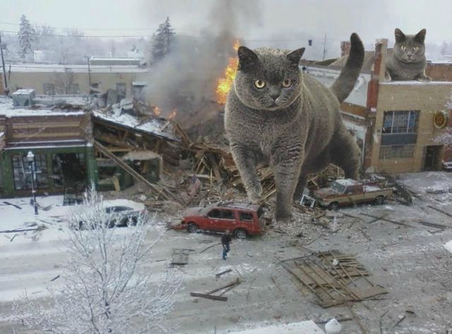 morning picdump 56 pics 56.html - 56 HD Photos | Premium Gallery 2012