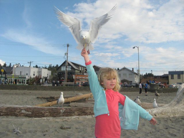 daily picdump 100 pics 2.html - 100 HD Photos | Premium Gallery 2012