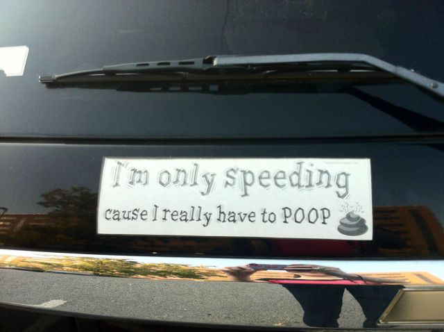 daily picdump 100 pics 2.html - 100 HD Photos | Premium Gallery 2012