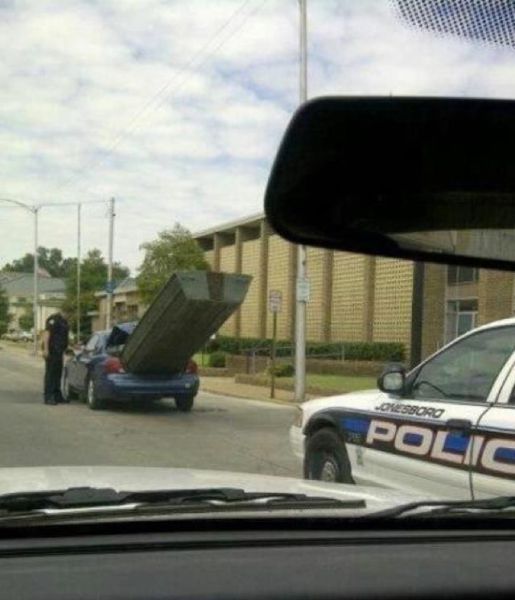 daily picdump 100 pics 2.html - 100 HD Photos | Premium Gallery 2012