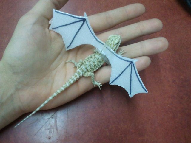 daily picdump 100 pics 2.html - 100 HD Photos | Premium Gallery 2012