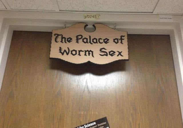 daily picdump 100 pics 2.html - 100 HD Photos | Premium Gallery 2012