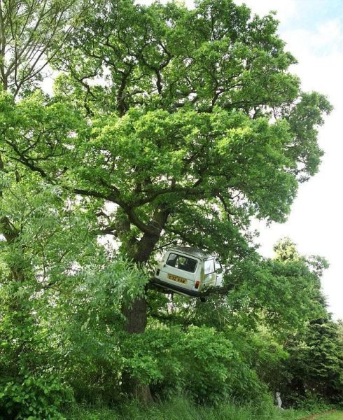 morning picdump 54 pics 24.html - 54 HD Photos | Premium Gallery 2012