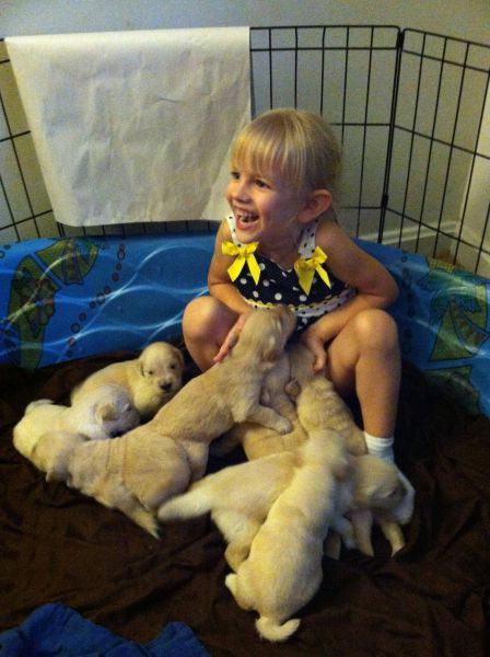 daily picdump 101 pics 33.html - 101 HD Photos | Premium Gallery 2012