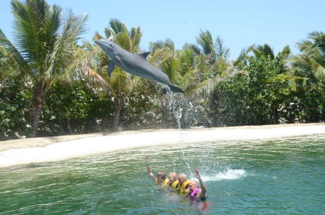 daily picdump 101 pics 33.html - 101 HD Photos | Premium Gallery 2012