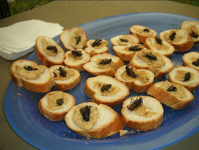 daily picdump 101 pics 33.html - 101 HD Photos | Premium Gallery 2012