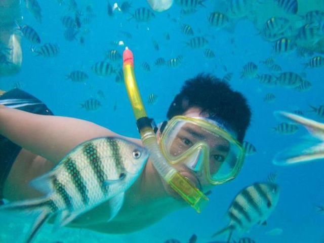 daily picdump 101 pics 33.html - 101 HD Photos | Premium Gallery 2012