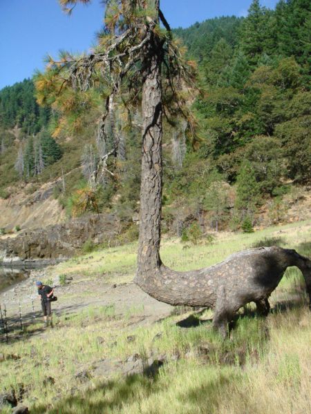 morning picdump 54 pics 14.html - 54 HD Photos | Premium Gallery 2012