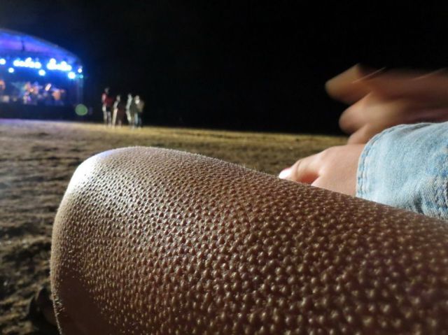 daily picdump 106 pics 32.html - 106 HD Photos | Premium Gallery 2012