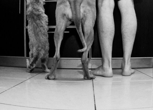 daily picdump 106 pics 32.html - 106 HD Photos | Premium Gallery 2012