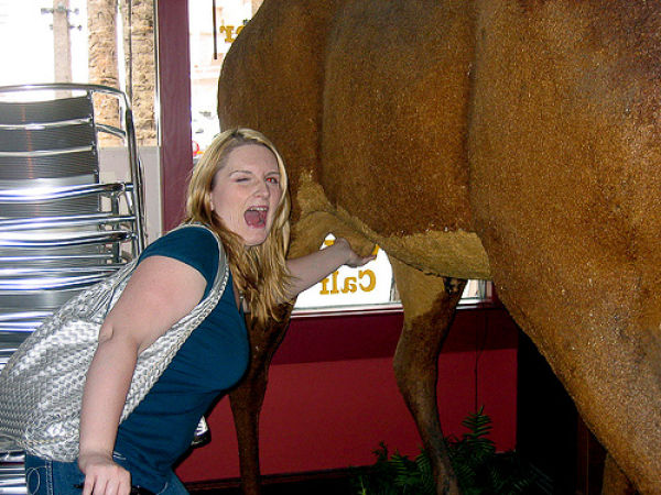 WTF Statue Pawing Pics