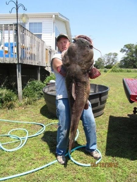 morning picdump 53 pics 1.html - 53 HD Photos | Premium Gallery 2012