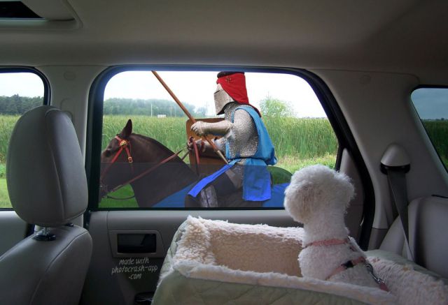 morning picdump 53 pics 1.html - 53 HD Photos | Premium Gallery 2012