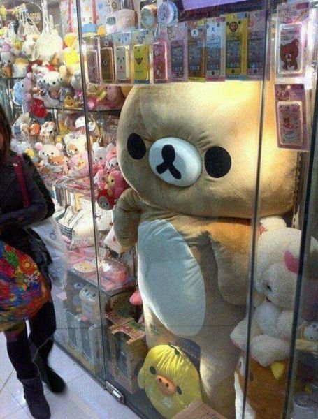 morning picdump 53 pics 1.html - 53 HD Photos | Premium Gallery 2012