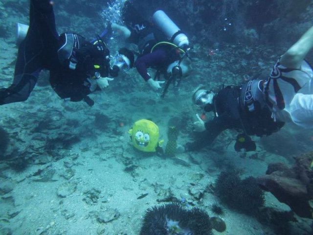 morning picdump 53 pics 1.html - 53 HD Photos | Premium Gallery 2012