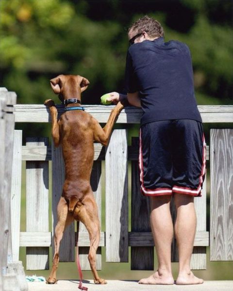 morning picdump 54 pics 21.html - 54 HD Photos | Premium Gallery 2012