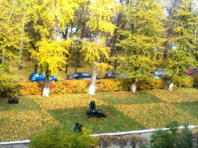 morning picdump 54 pics 19.html - 54 HD Photos | Premium Gallery 2012