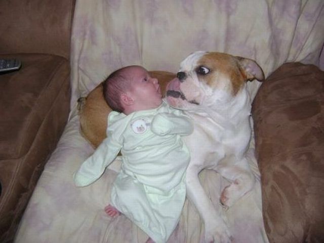 morning picdump 54 pics 19.html - 54 HD Photos | Premium Gallery 2012