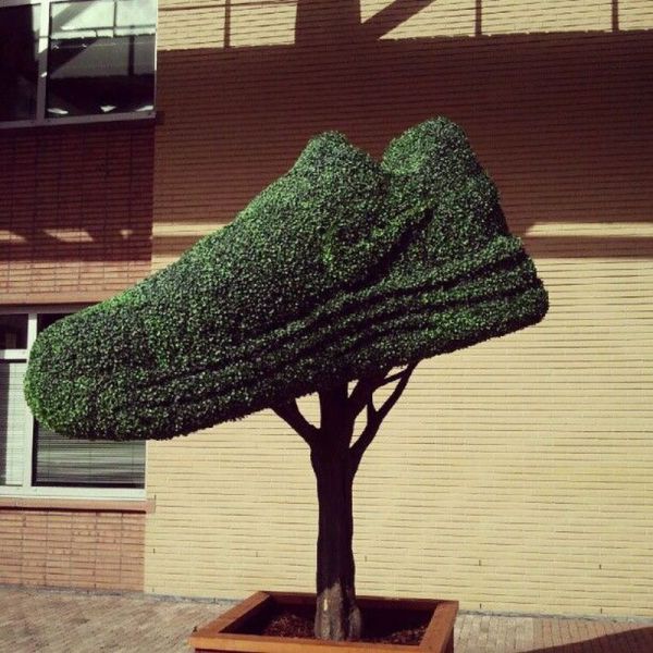 morning picdump 54 pics 19.html - 54 HD Photos | Premium Gallery 2012