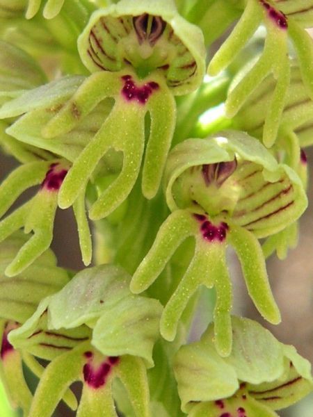 morning picdump 56 pics 42.html - 56 HD Photos | Premium Gallery 2012