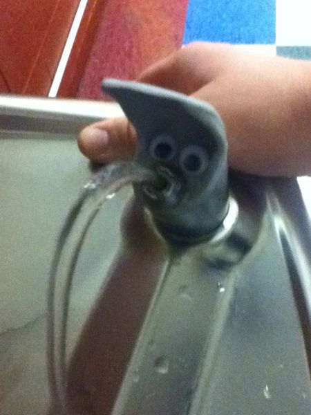 morning picdump 59 pics 11.html - 59 HD Photos | Premium Gallery 2012