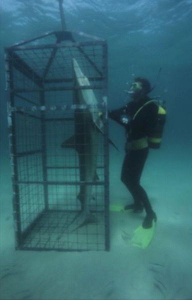 morning picdump 59 pics 11.html - 59 HD Photos | Premium Gallery 2012