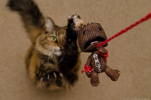 morning picdump 57 pics 29.html - 57 HD Photos | Premium Gallery 2012