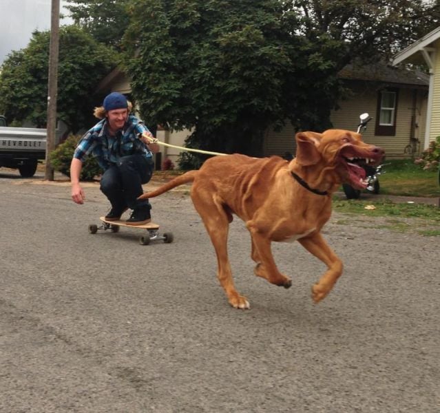 morning picdump 57 pics 29.html - 57 HD Photos | Premium Gallery 2012