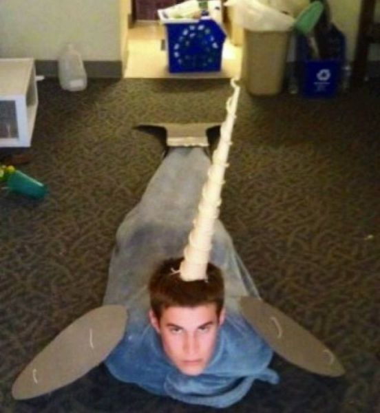 morning picdump 52 pics 19.html - 52 HD Photos | Premium Gallery 2012