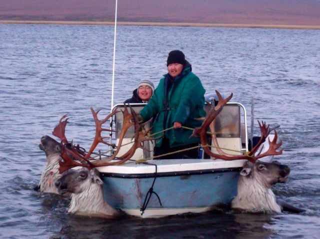 morning picdump 54 pics 40.html - 54 HD Photos | Premium Gallery 2012