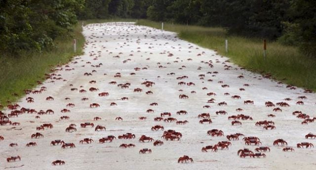 morning picdump 54 pics 40.html - 54 HD Photos | Premium Gallery 2012