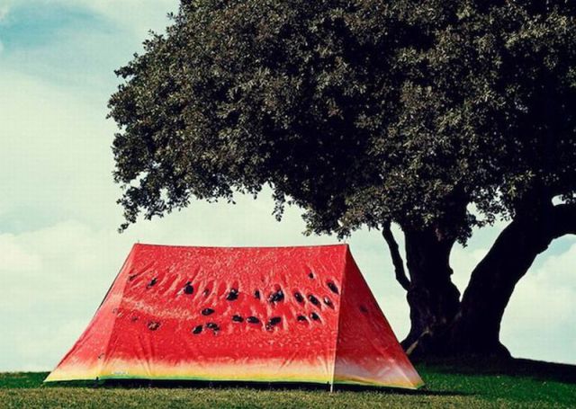 morning picdump 59 pics 3.html - 59 HD Photos | Premium Gallery 2012