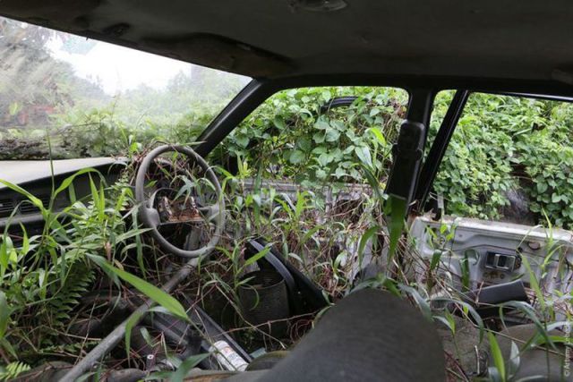 morning picdump 59 pics 3.html - 59 HD Photos | Premium Gallery 2012